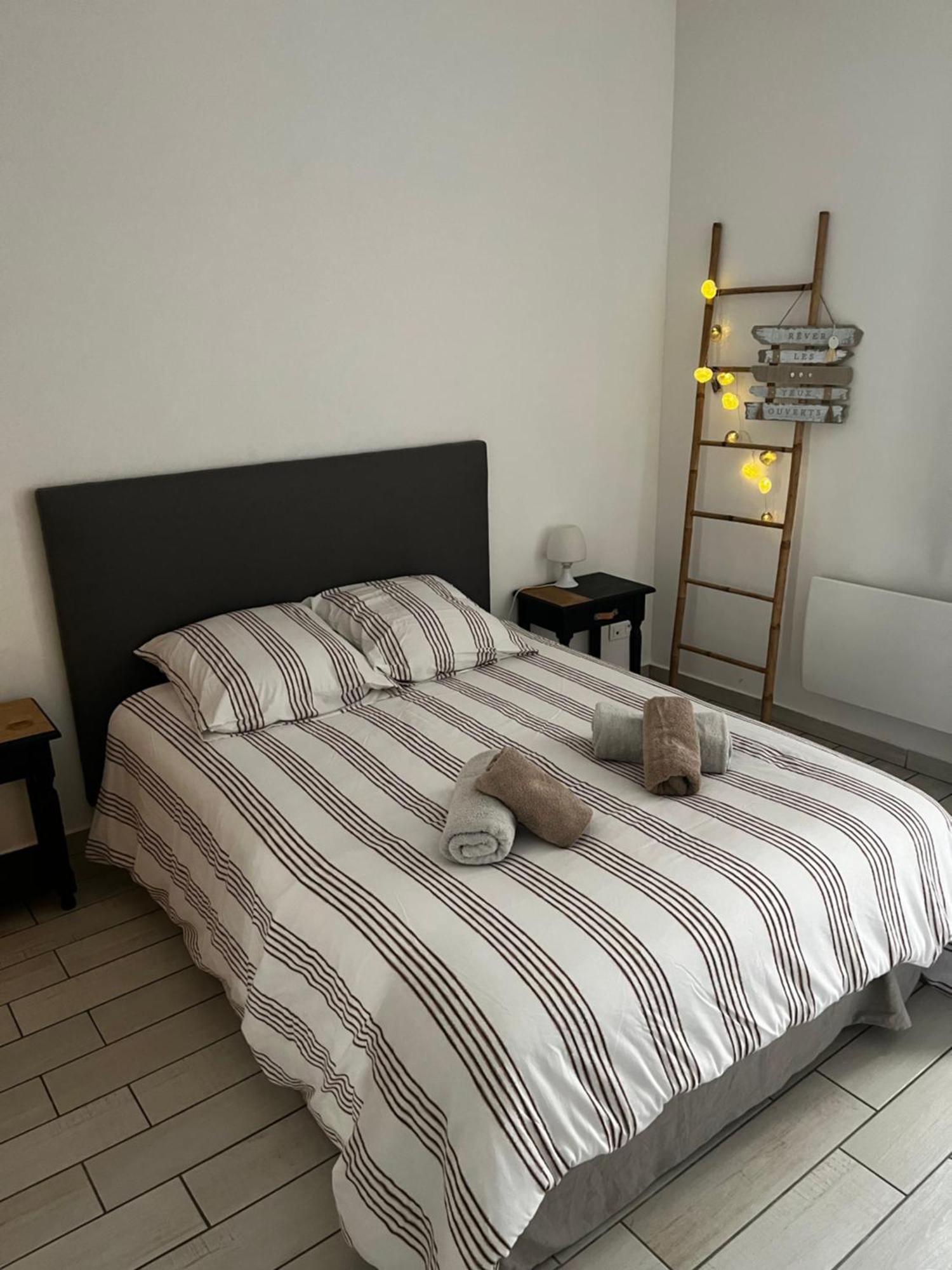 Joli Appartement Hypercentre T2, Classe Meuble De Tourisme 3 Avec Parking Gratuit Beziers Exterior photo